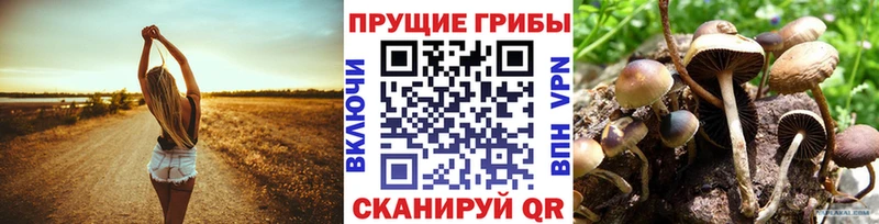 Галлюциногенные грибы MAGIC MUSHROOMS  мориарти как зайти  Советский 